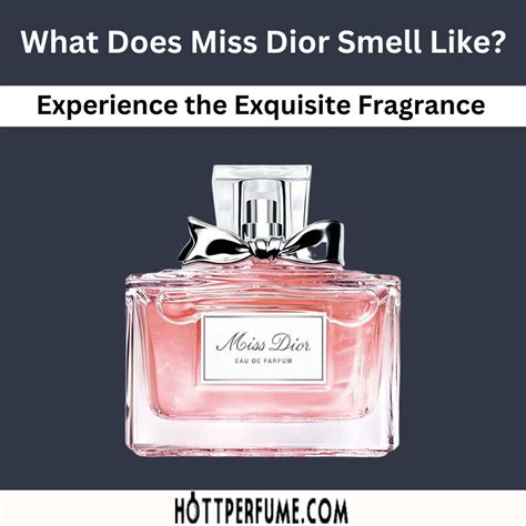 miss dior ser|what does miss dior perfume smell like.